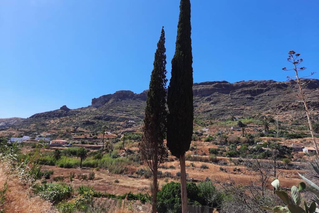 Casa Rural Los Cipreses. Cercados De Arana San Bartolomé 외부 사진